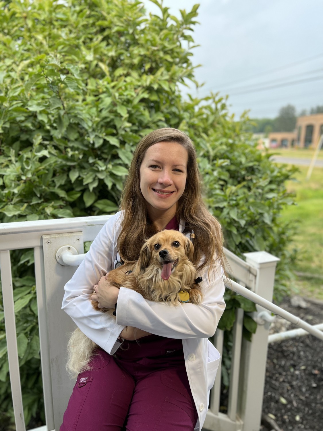 State College Veterinary Hospital State College, PA Our Doctors